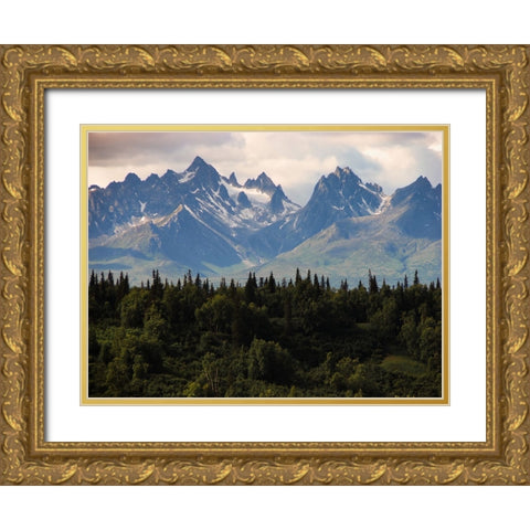 Mountain View 44 Gold Ornate Wood Framed Art Print with Double Matting by Lee, Rachel