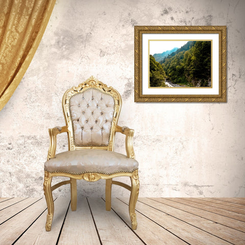 Mountain View 48 Gold Ornate Wood Framed Art Print with Double Matting by Lee, Rachel
