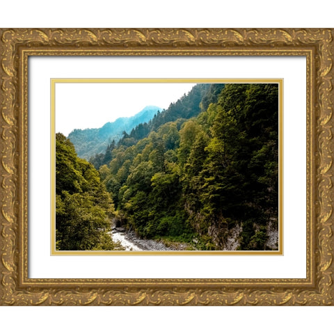 Mountain View 48 Gold Ornate Wood Framed Art Print with Double Matting by Lee, Rachel