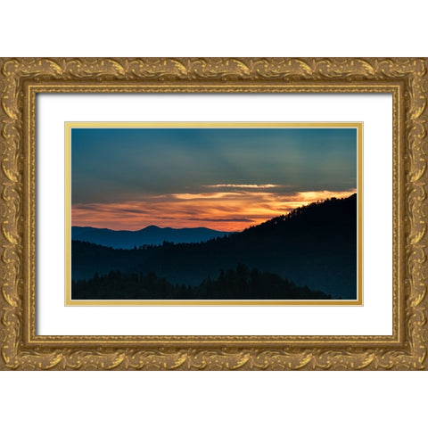 Mountain View 62 Gold Ornate Wood Framed Art Print with Double Matting by Lee, Rachel