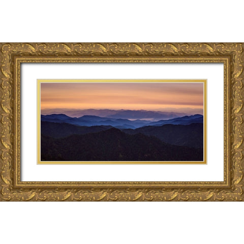 Mountain View 64 Gold Ornate Wood Framed Art Print with Double Matting by Lee, Rachel
