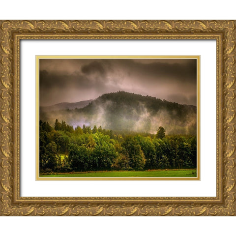 Mountain View 66 Gold Ornate Wood Framed Art Print with Double Matting by Lee, Rachel