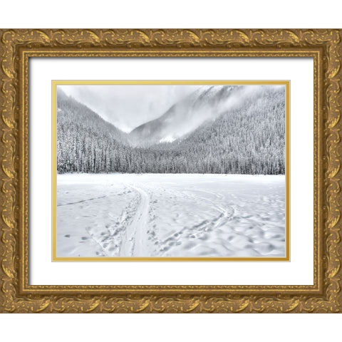 Mountain View 67 Gold Ornate Wood Framed Art Print with Double Matting by Lee, Rachel