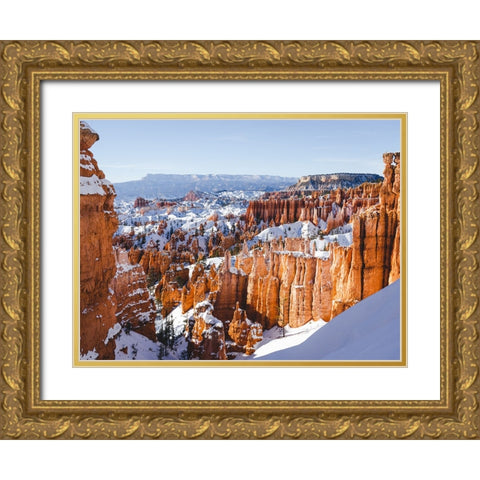 Mountain View 71 Gold Ornate Wood Framed Art Print with Double Matting by Lee, Rachel