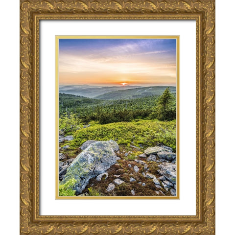 Mountain View 73 Gold Ornate Wood Framed Art Print with Double Matting by Lee, Rachel