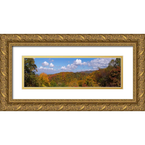 NC Fall Mountains 3 Gold Ornate Wood Framed Art Print with Double Matting by Lee, Rachel