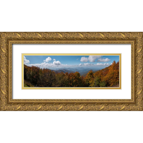 NC Fall Mountains 4 Gold Ornate Wood Framed Art Print with Double Matting by Lee, Rachel