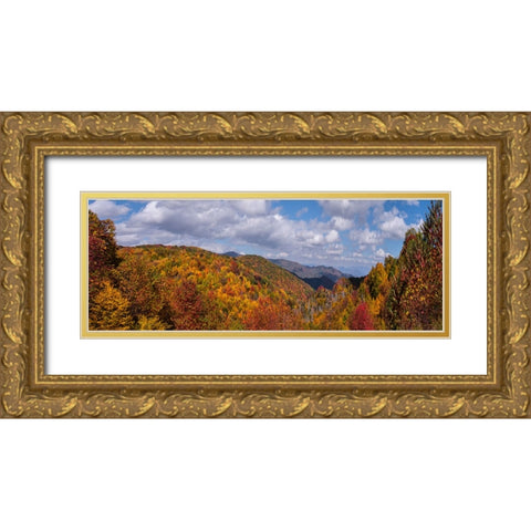 NC Fall Mountains 5 Gold Ornate Wood Framed Art Print with Double Matting by Lee, Rachel