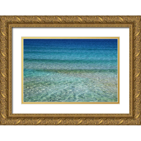 Ocean 1 Gold Ornate Wood Framed Art Print with Double Matting by Lee, Rachel