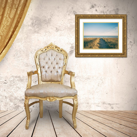 Ocean 16 Gold Ornate Wood Framed Art Print with Double Matting by Lee, Rachel