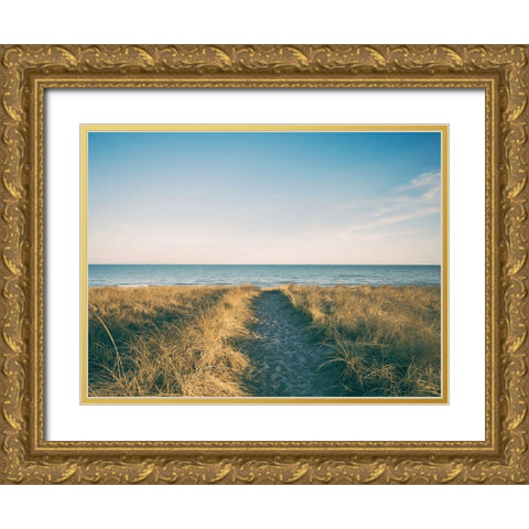 Ocean 16 Gold Ornate Wood Framed Art Print with Double Matting by Lee, Rachel