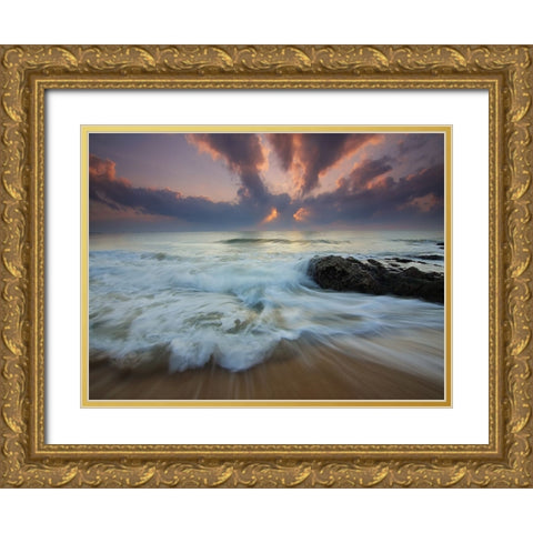 Ocean 24 Gold Ornate Wood Framed Art Print with Double Matting by Lee, Rachel