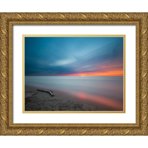 Ocean 29 Gold Ornate Wood Framed Art Print with Double Matting by Lee, Rachel