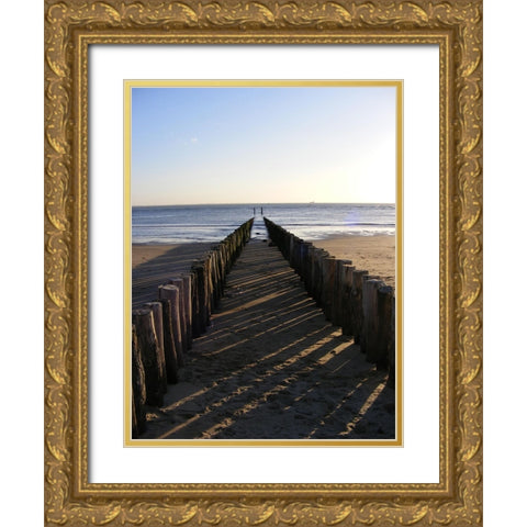 Ocean 3 Gold Ornate Wood Framed Art Print with Double Matting by Lee, Rachel