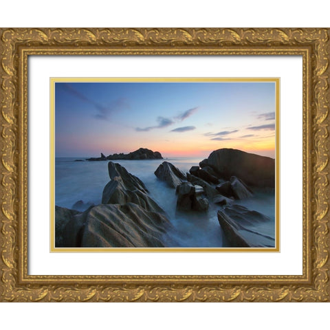 Ocean 34 Gold Ornate Wood Framed Art Print with Double Matting by Lee, Rachel