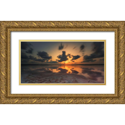 Ocean 41 Gold Ornate Wood Framed Art Print with Double Matting by Lee, Rachel