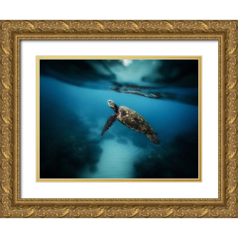 Ocean 42 Gold Ornate Wood Framed Art Print with Double Matting by Lee, Rachel