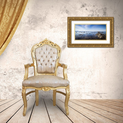 Ocean 47 Gold Ornate Wood Framed Art Print with Double Matting by Lee, Rachel