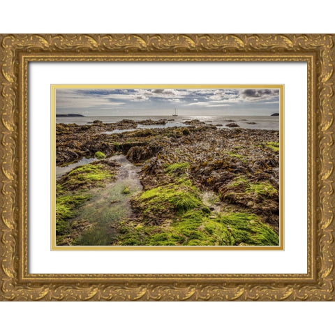 Ocean 54 Gold Ornate Wood Framed Art Print with Double Matting by Lee, Rachel