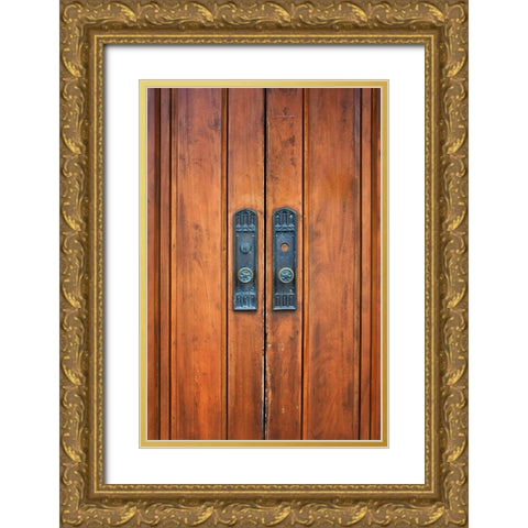 Oceanway Doors Gold Ornate Wood Framed Art Print with Double Matting by Lee, Rachel