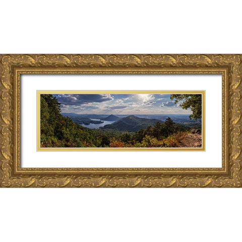 Ocoee Valley Pano 2 Gold Ornate Wood Framed Art Print with Double Matting by Lee, Rachel