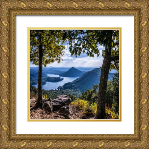 Ocoee View Gold Ornate Wood Framed Art Print with Double Matting by Lee, Rachel