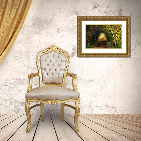 Pathway Gold Ornate Wood Framed Art Print with Double Matting by Lee, Rachel