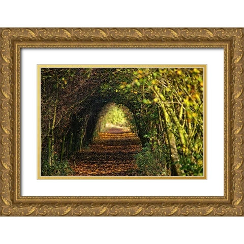Pathway Gold Ornate Wood Framed Art Print with Double Matting by Lee, Rachel