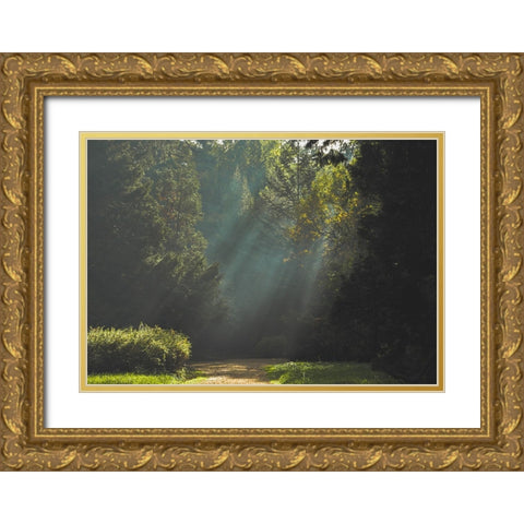 Pathway 4 Gold Ornate Wood Framed Art Print with Double Matting by Lee, Rachel