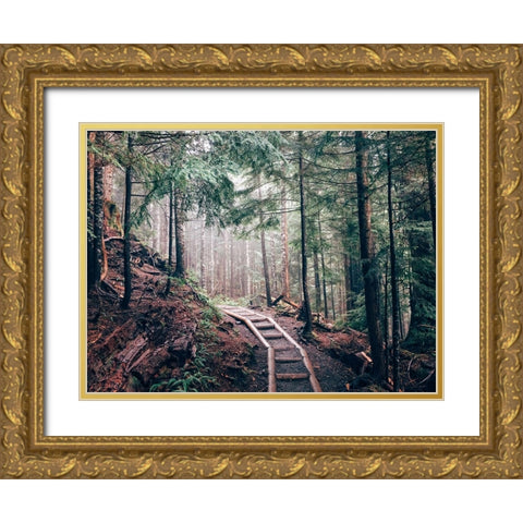 Pathway 5 Gold Ornate Wood Framed Art Print with Double Matting by Lee, Rachel