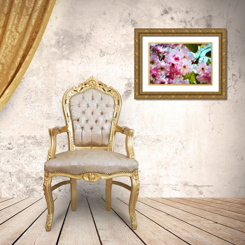 Pink Blossoms Gold Ornate Wood Framed Art Print with Double Matting by Lee, Rachel