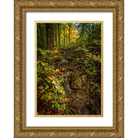 Pocket Wilderness 1 Gold Ornate Wood Framed Art Print with Double Matting by Lee, Rachel