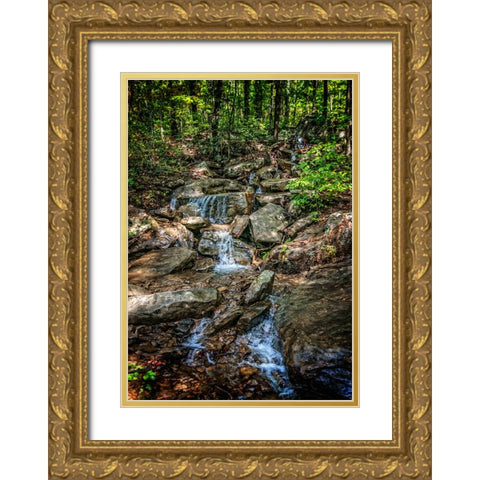 Pocket Wilderness 3 Gold Ornate Wood Framed Art Print with Double Matting by Lee, Rachel