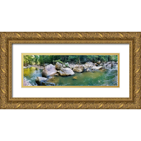 Pocket Wilderness Dayton 1 Gold Ornate Wood Framed Art Print with Double Matting by Lee, Rachel