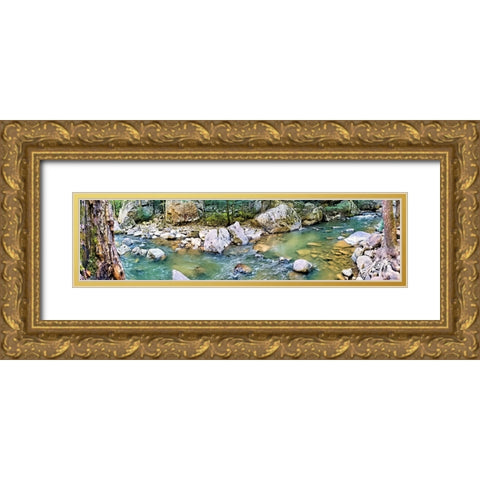 Pocket Wilderness Dayton 2 Gold Ornate Wood Framed Art Print with Double Matting by Lee, Rachel