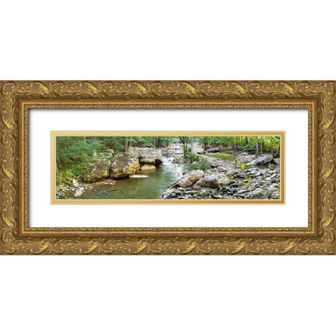 Pocket Wilderness Dayton 3 Gold Ornate Wood Framed Art Print with Double Matting by Lee, Rachel