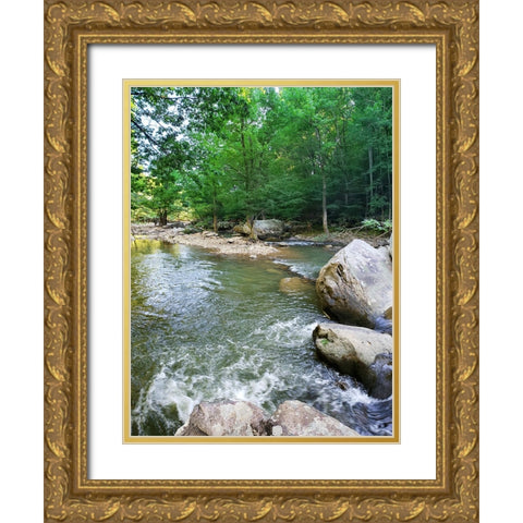 Pocket Wilderness Dayton 5 Gold Ornate Wood Framed Art Print with Double Matting by Lee, Rachel