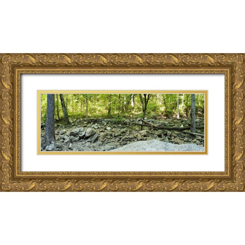 Pocket Wilderness Dayton 6 Gold Ornate Wood Framed Art Print with Double Matting by Lee, Rachel