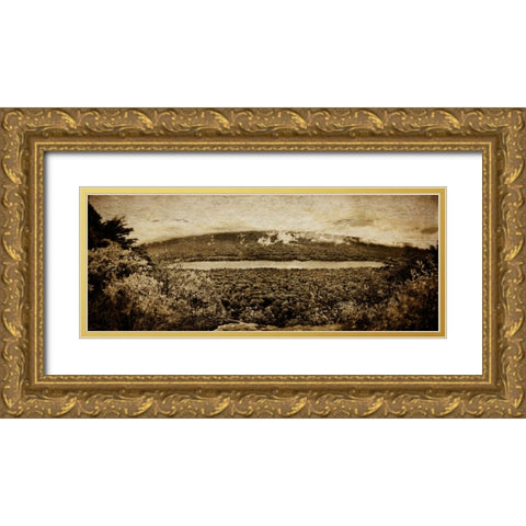 Prentice Overlook Pano Textured Gold Ornate Wood Framed Art Print with Double Matting by Lee, Rachel