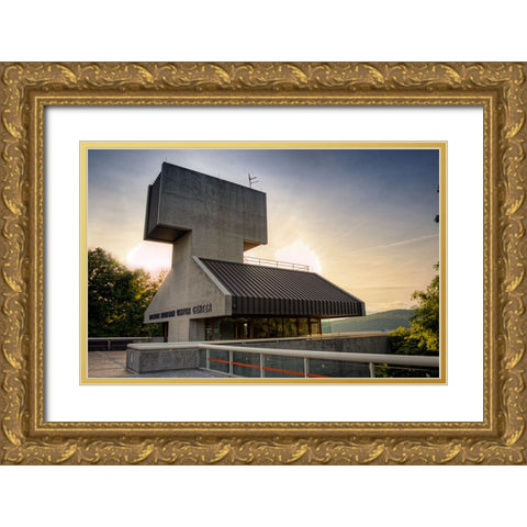 Raccoon Observatory Gold Ornate Wood Framed Art Print with Double Matting by Lee, Rachel
