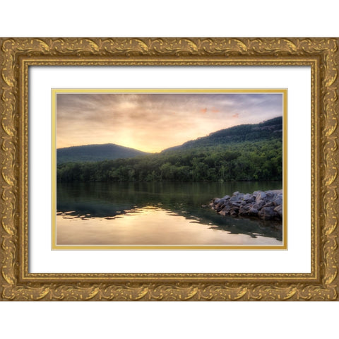 Raccoon Sunset Gold Ornate Wood Framed Art Print with Double Matting by Lee, Rachel