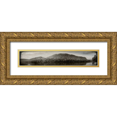 River Gorge 3 Old Photo Gold Ornate Wood Framed Art Print with Double Matting by Lee, Rachel