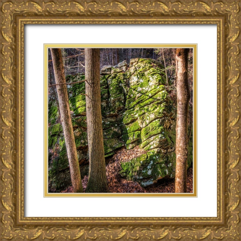 Rocks 4 Gold Ornate Wood Framed Art Print with Double Matting by Lee, Rachel