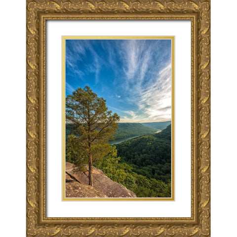 Scenic City 34 Gold Ornate Wood Framed Art Print with Double Matting by Lee, Rachel