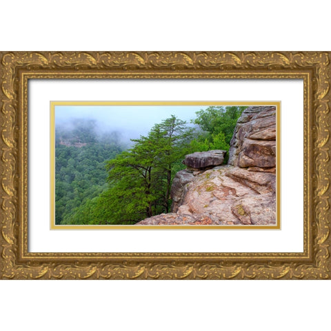 Scenic City 41 Gold Ornate Wood Framed Art Print with Double Matting by Lee, Rachel