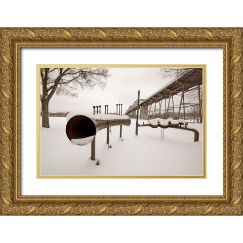 Scenic City 49 Gold Ornate Wood Framed Art Print with Double Matting by Lee, Rachel