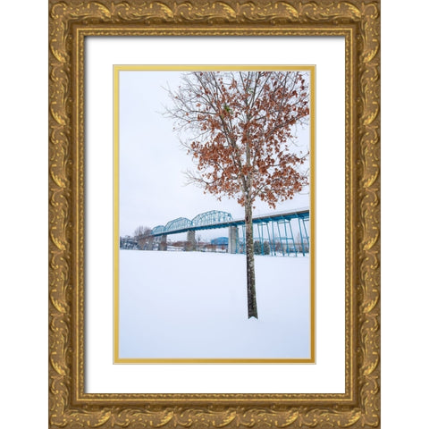 Scenic City 63 Gold Ornate Wood Framed Art Print with Double Matting by Lee, Rachel