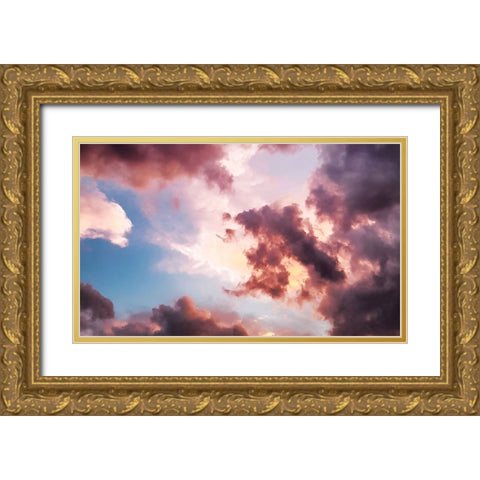Sky 12 Gold Ornate Wood Framed Art Print with Double Matting by Lee, Rachel