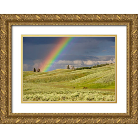 Sky 4 Gold Ornate Wood Framed Art Print with Double Matting by Lee, Rachel