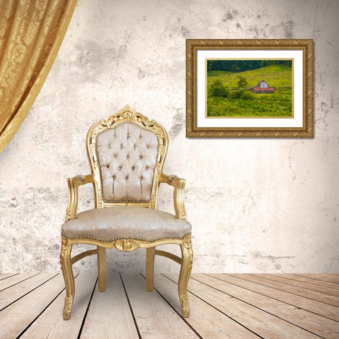 Smokies Barn Gold Ornate Wood Framed Art Print with Double Matting by Lee, Rachel
